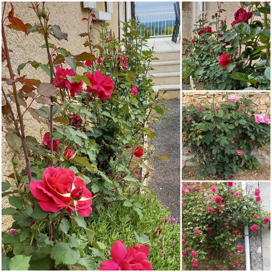 La Mesange Bleue Bed & Breakfast Ecuras Exterior photo