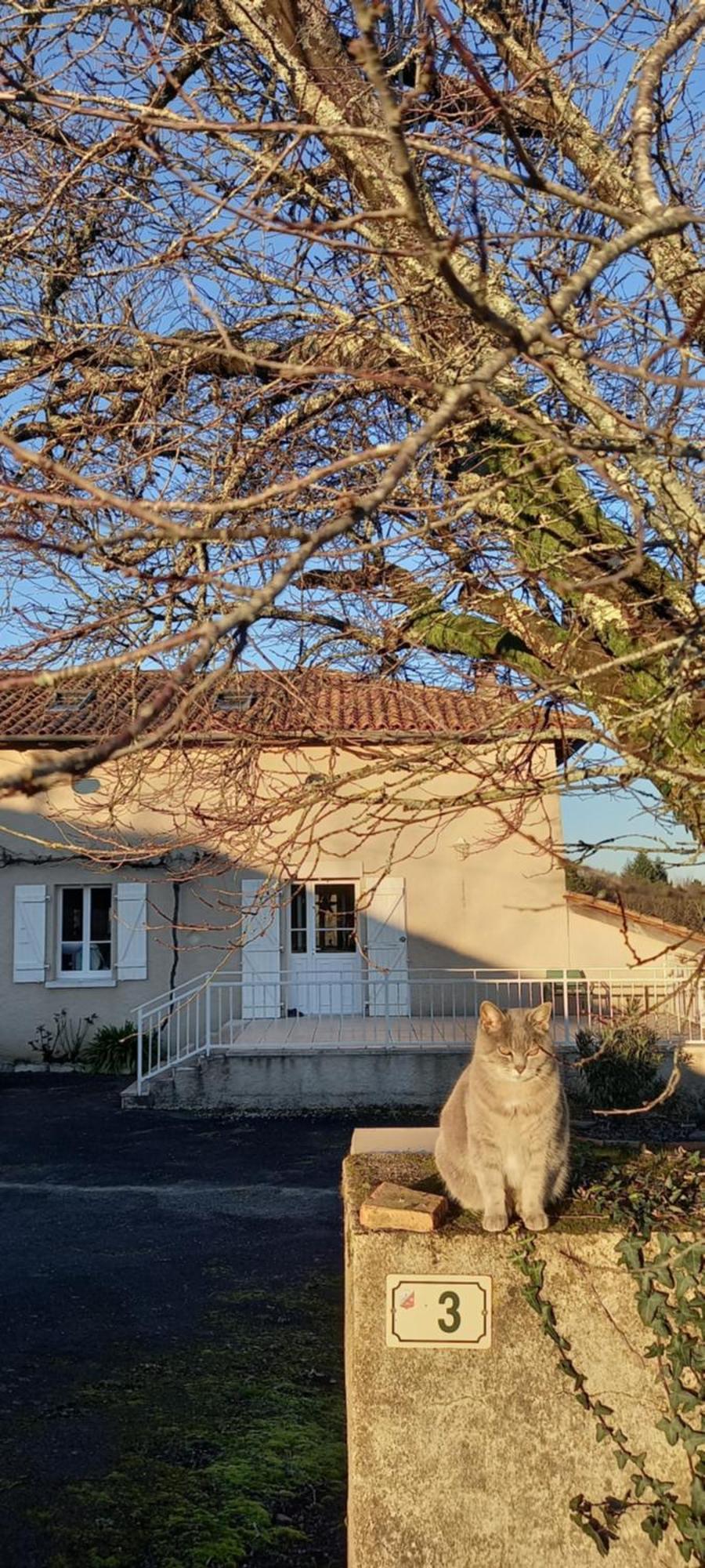 La Mesange Bleue Bed & Breakfast Ecuras Exterior photo